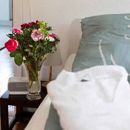 Villa Sophie Bad Herrenalb